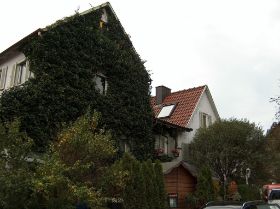 Ursprung1.JPG